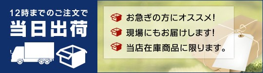 12時までのご注文で当日出荷